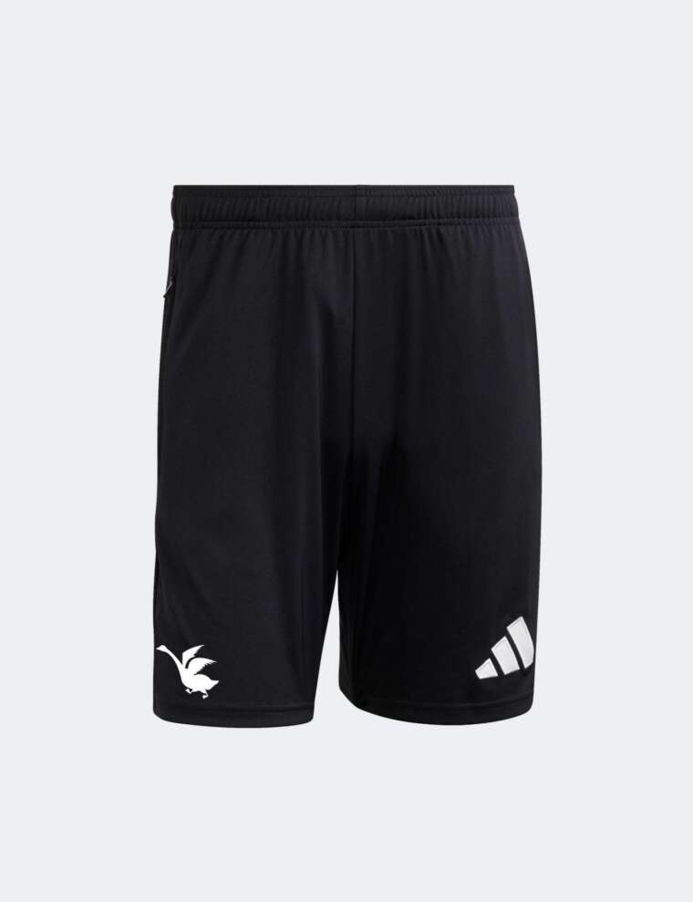 Calção Principal | Casa Pia Ac