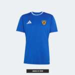 Jogo Camisola de Treino D. JOÃO I